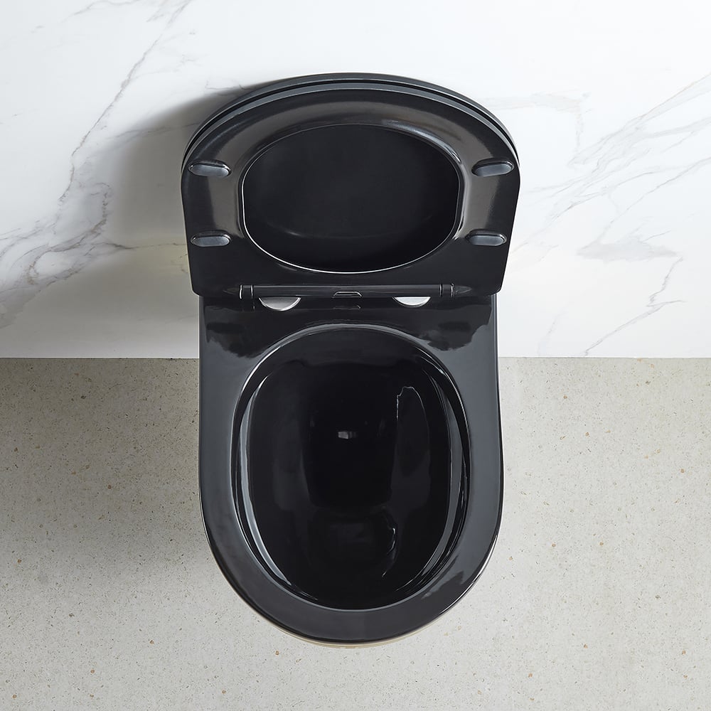 Luxury Round Wall-Mounted Toilet Rimless Flushing Ceramic in Black & Gold Rim -