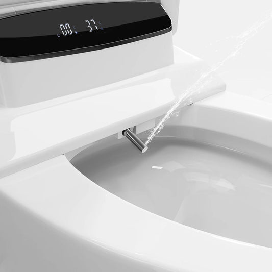 Modern Smart One-Piece Floor Mounted Elongated Toilet and Bidet with Seat -