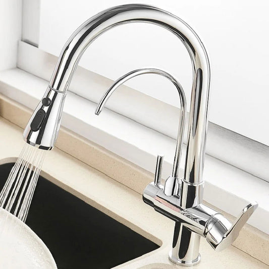 Water Filter Kitchen Faucet Pull Out Faucet in Polished Chrome Solid Brass - Homary