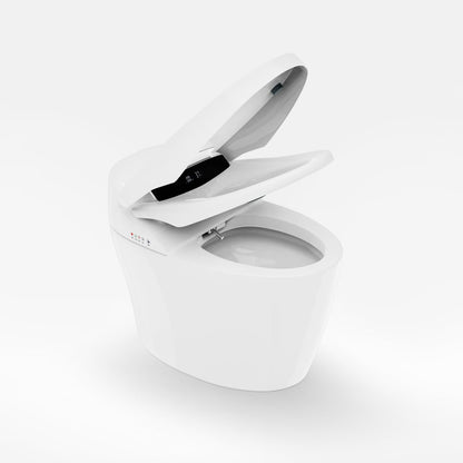 Modern Smart One-Piece Floor Mount Elongated Toilet & Bidet with Seat Horizontal Outlet