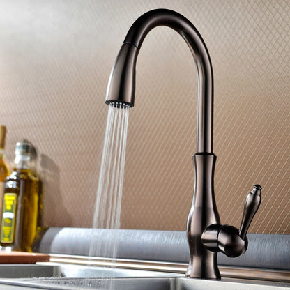 Tracier Gooseneck Single Lever Handle Kitchen Tap with Pull Out Spray