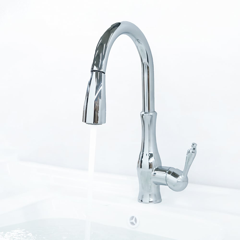 Tracier Gooseneck Single Lever Handle Kitchen Tap with Pull Out Spray