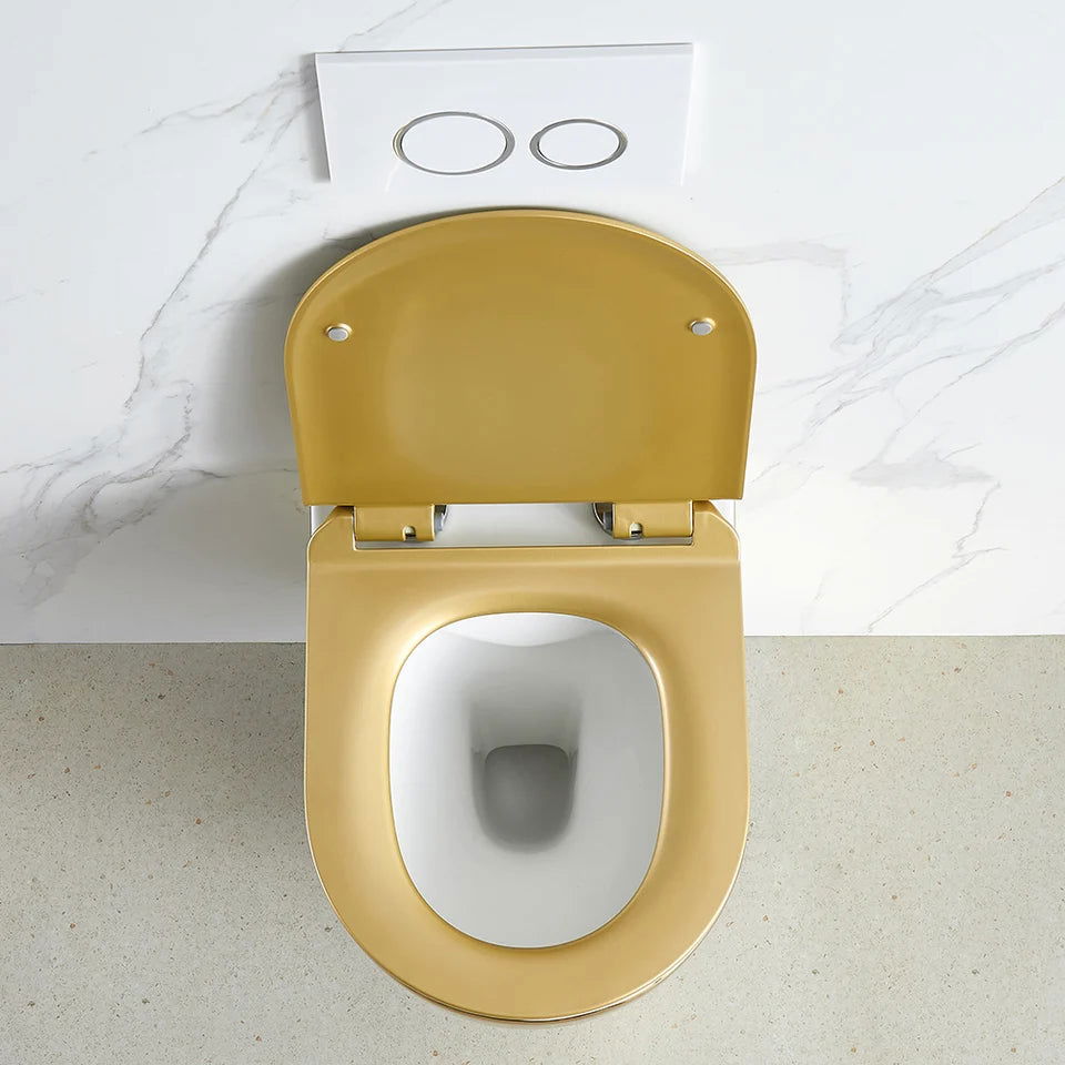 Luxury Round Wall-Mounted Toilet Rimless Flushing Ceramic - 