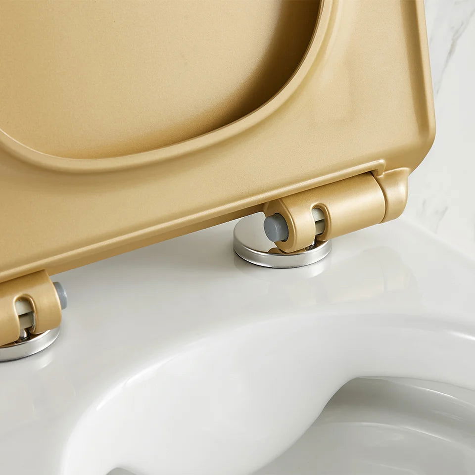 Luxury Round Wall-Mounted Toilet Rimless Flushing Ceramic - 