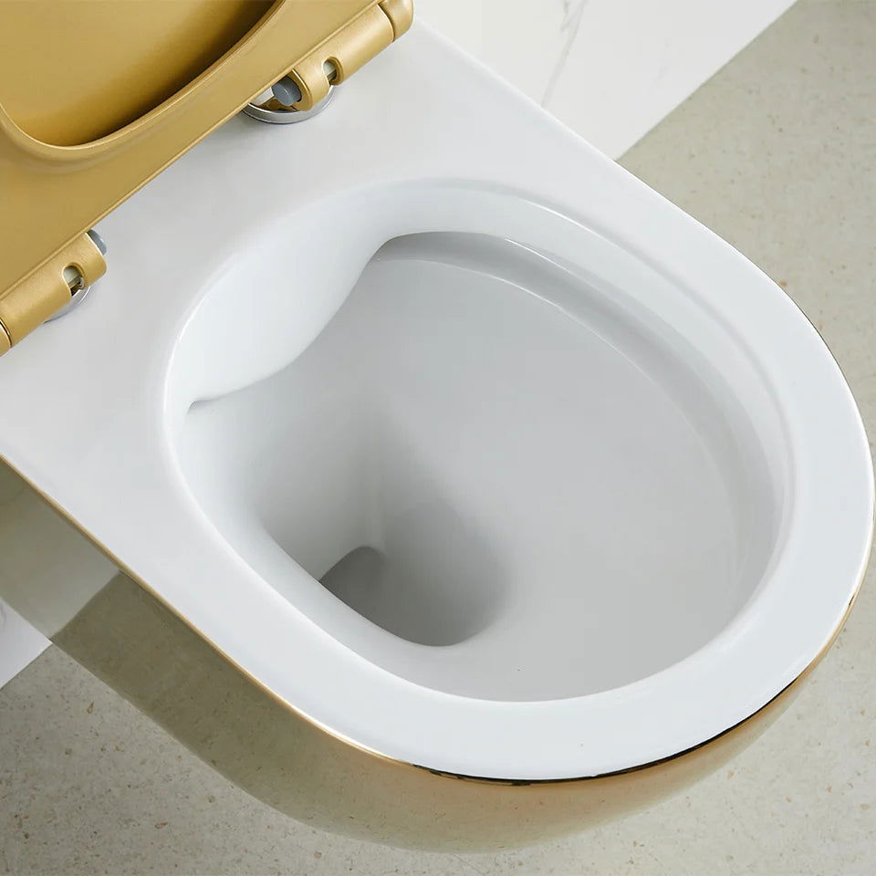 Luxury Round Wall-Mounted Toilet Rimless Flushing Ceramic - 