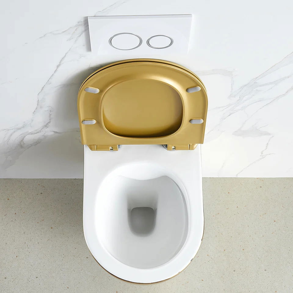 Luxury Round Wall-Mounted Toilet Rimless Flushing Ceramic - 