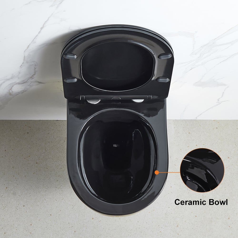 Luxury Round Wall-Mounted Toilet Rimless Flushing Ceramic in Black & Gold Rim - 