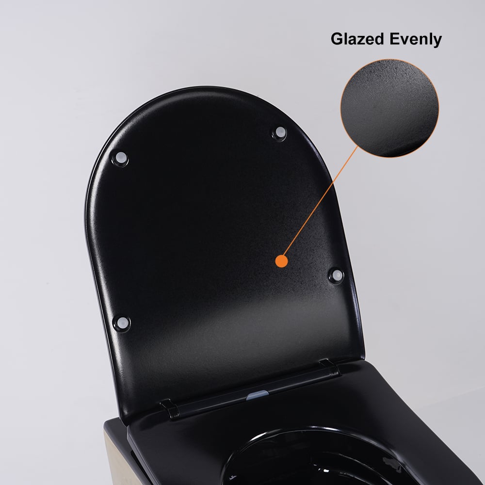 Luxury Round Wall-Mounted Toilet Rimless Flushing Ceramic in Black & Gold Rim - 
