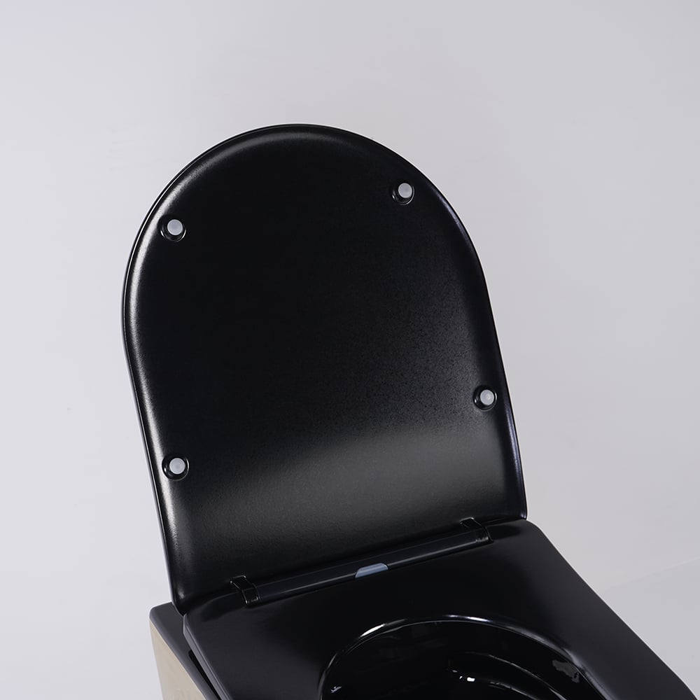Luxury Round Wall-Mounted Toilet Rimless Flushing Ceramic in Black & Gold Rim - 