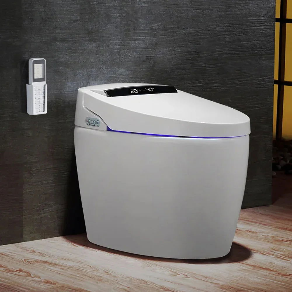 Modern Smart One-Piece Floor Mount Elongated Toilet & Bidet with Seat Horizontal Outlet - Homary
