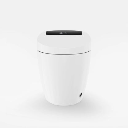 Modern Smart One-Piece Floor Mounted Elongated Toilet and Bidet with Seat - Homary