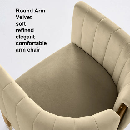 Modern Wood Accent Chair Camel Velvet Upholstered Arm Chair - 