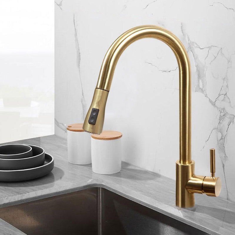 Pull Out Kitchen Tap Brushed Gold with Dual Function Sprayer - 