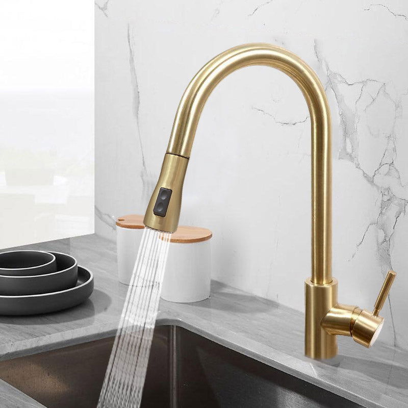 Pull Out Kitchen Tap Brushed Gold with Dual Function Sprayer - 