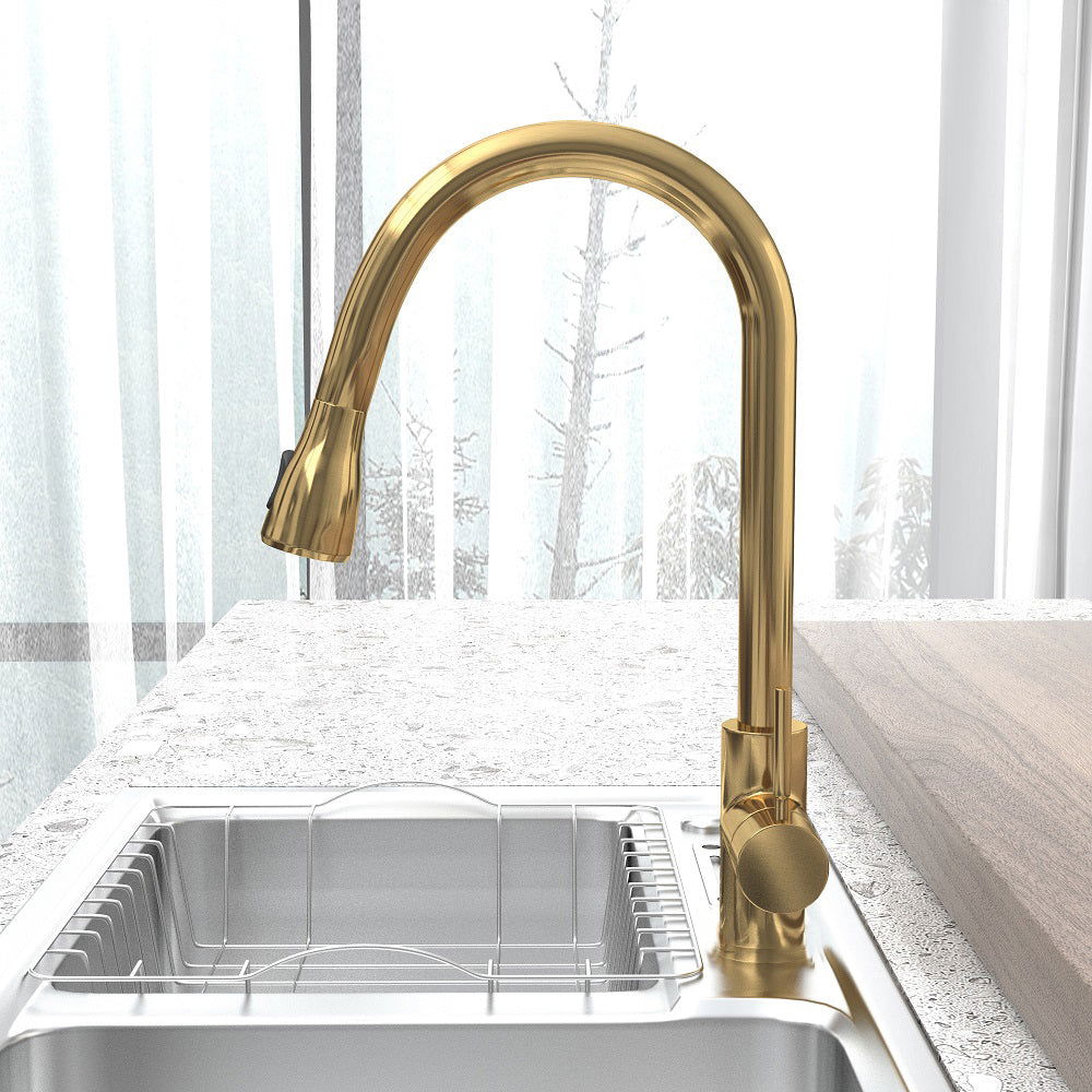 Pull Out Kitchen Tap Brushed Gold with Dual Function Sprayer - 