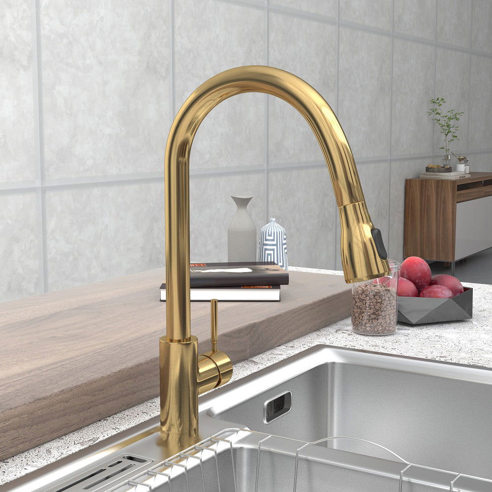 Pull Out Kitchen Tap Brushed Gold with Dual Function Sprayer - 