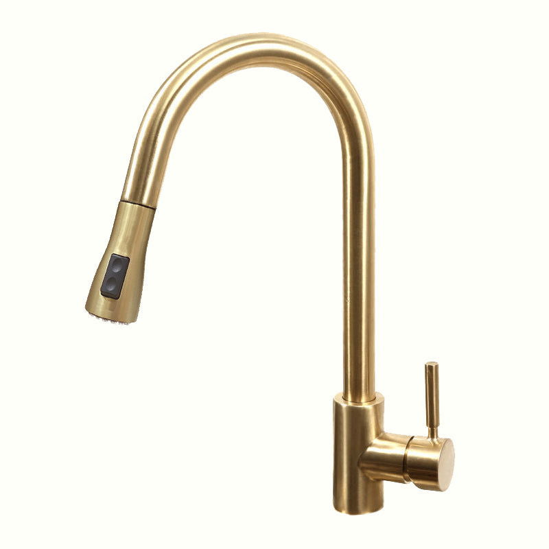 Pull Out Kitchen Tap Brushed Gold with Dual Function Sprayer - 