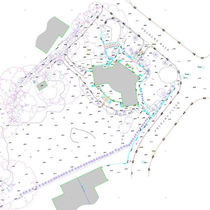 Topographic Survey - 