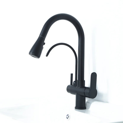 Water Filter Kitchen Faucet Pull Out Faucet in Matte Black Swirling Faucet Solid Brass - 