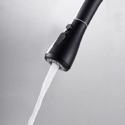 Water Filter Kitchen Faucet Pull Out Faucet in Matte Black Swirling Faucet Solid Brass - 