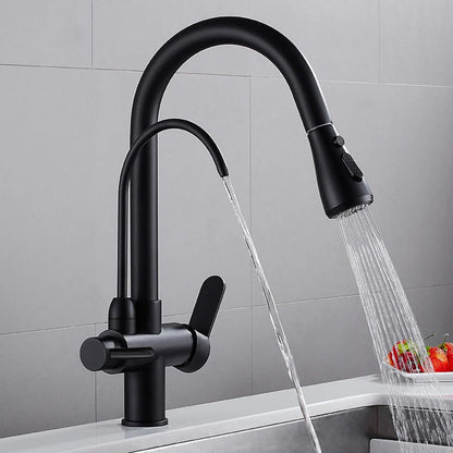 Water Filter Kitchen Faucet Pull Out Faucet in Matte Black Swirling Faucet Solid Brass - Homary