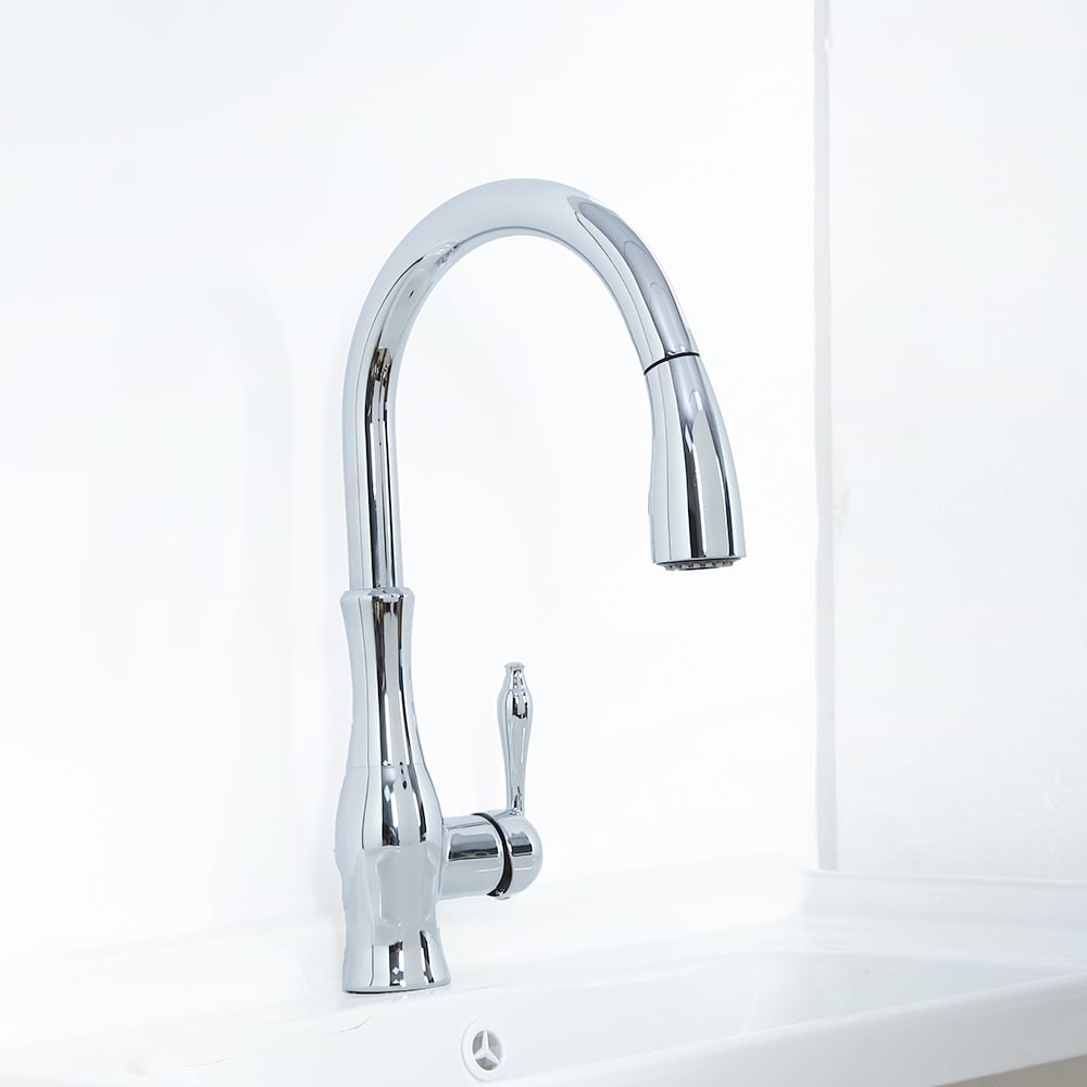 Tracier Gooseneck Single Lever Handle Kitchen Tap with Pull Out Spray