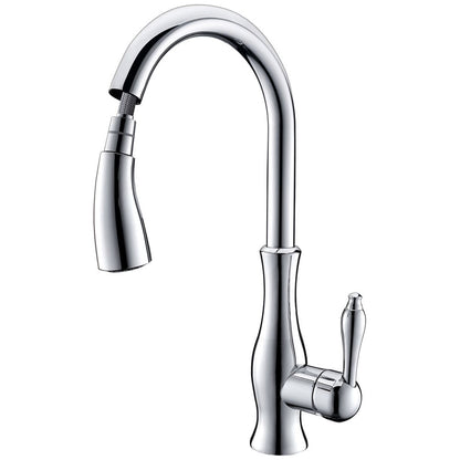 Tracier Gooseneck Single Lever Handle Kitchen Tap with Pull Out Spray