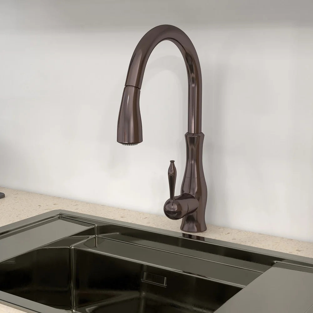 Tracier Gooseneck Single Lever Handle Kitchen Tap with Pull Out Spray